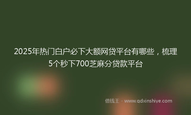 2025年热门白户必下大额网贷平台有哪些，梳理5个秒下700芝麻分贷款平台