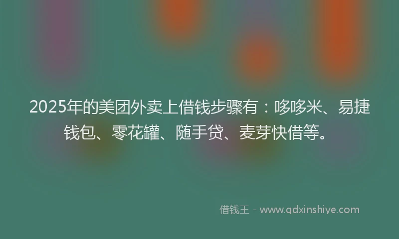 2025年的美团外卖上借钱步骤有：哆哆米、易捷钱包、零花罐、随手贷、麦芽快借等。
