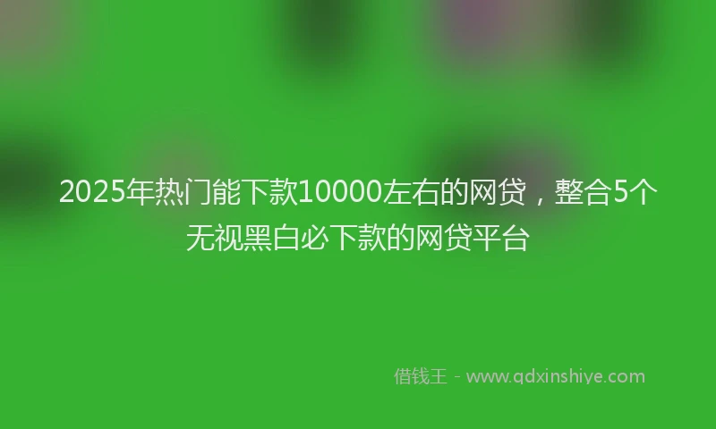2025年热门能下款10000左右的网贷，整合5个无视黑白必下款的网贷平台