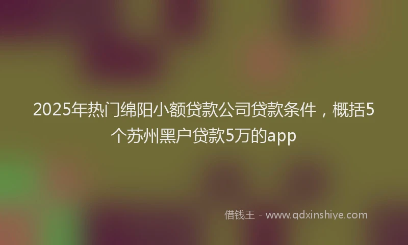 2025年热门绵阳小额贷款公司贷款条件，概括5个苏州黑户贷款5万的app