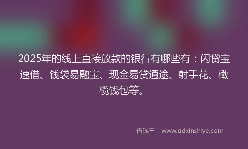 2025年的线上直接放款的银行有哪些有：闪贷宝速借、钱袋易融宝、现金易贷通途、射手花、橄榄钱包等。