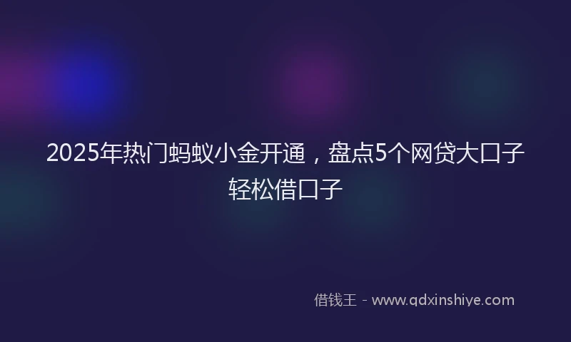 2025年热门蚂蚁小金开通，盘点5个网贷大口子轻松借口子