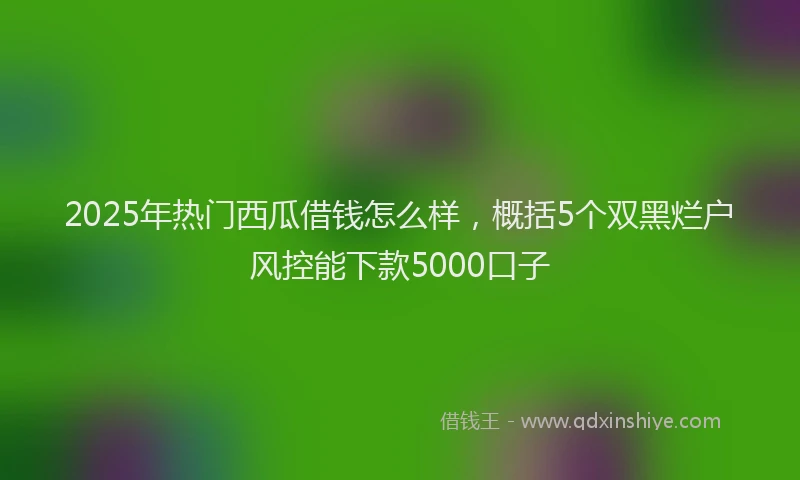 2025年热门西瓜借钱怎么样，概括5个双黑烂户风控能下款5000口子