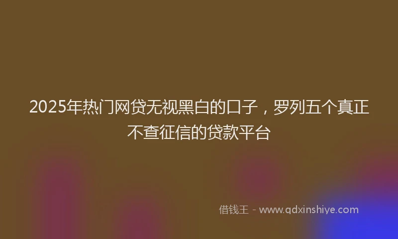 2025年热门网贷无视黑白的口子，罗列五个真正不查征信的贷款平台