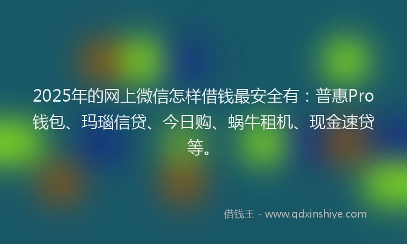 2025年的网上微信怎样借钱最安全有：普惠Pro钱包、玛瑙信贷、今日购、蜗牛租机、现金速贷等。