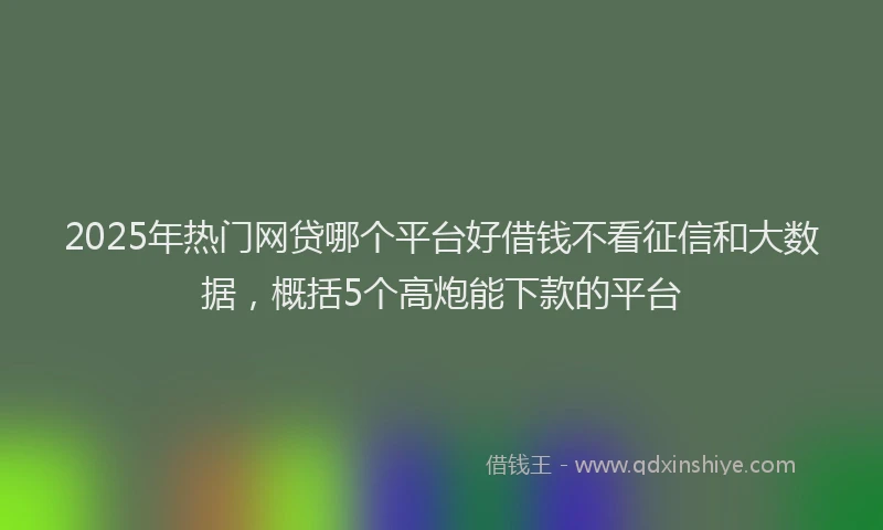 2025年热门网贷哪个平台好借钱不看征信和大数据，概括5个高炮能下款的平台