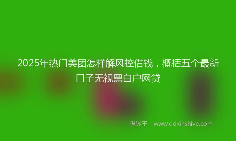2025年热门美团怎样解风控借钱，概括五个最新口子无视黑白户网贷
