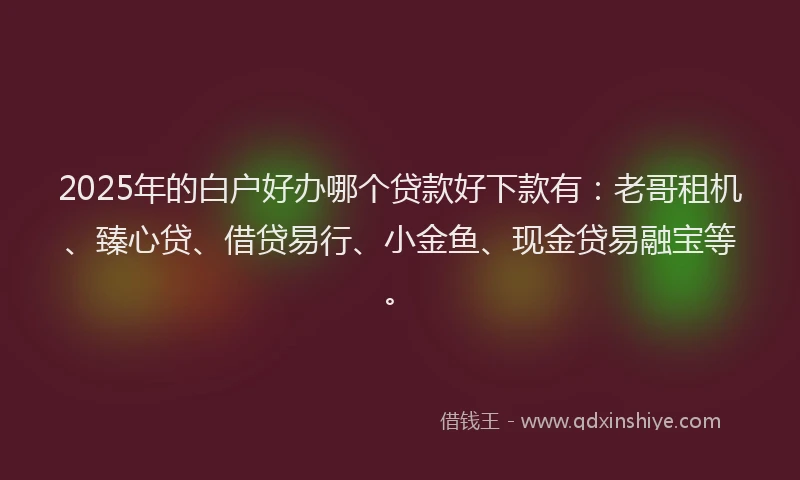 2025年的白户好办哪个贷款好下款有：老哥租机、臻心贷、借贷易行、小金鱼、现金贷易融宝等。