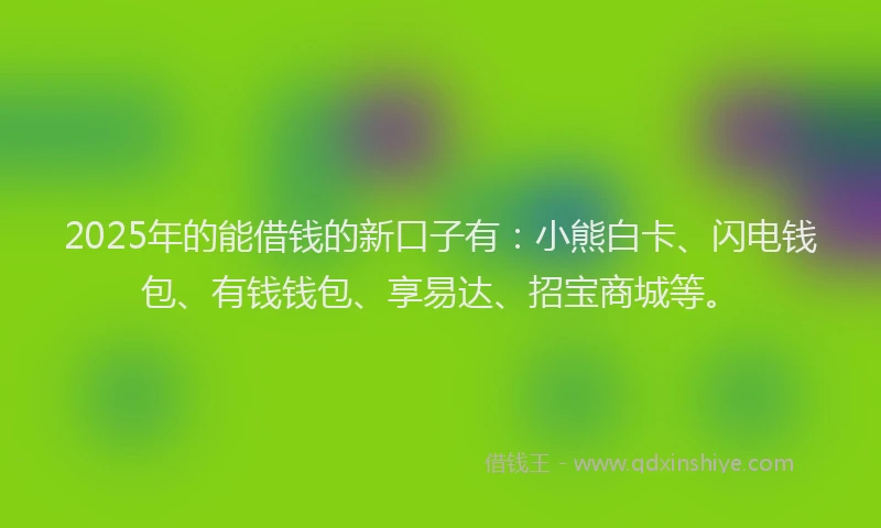 2025年的能借钱的新口子有：小熊白卡、闪电钱包、有钱钱包、享易达、招宝商城等。