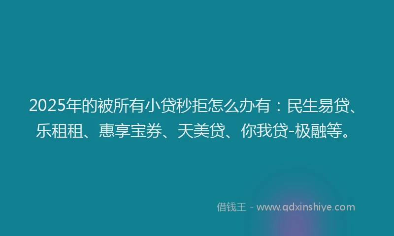 2025年的被所有小贷秒拒怎么办有：民生易贷、乐租租、惠享宝券、天美贷、你我贷-极融等。
