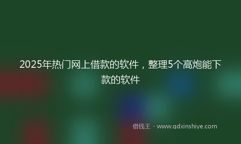 2025年热门网上借款的软件，整理5个高炮能下款的软件