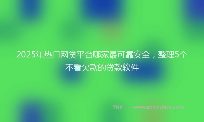 2025年热门网贷平台哪家最可靠安全，整理5个不看欠款的贷款软件