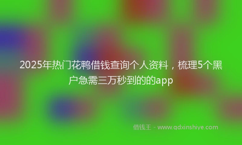 2025年热门花鸭借钱查询个人资料，梳理5个黑户急需三万秒到的的app
