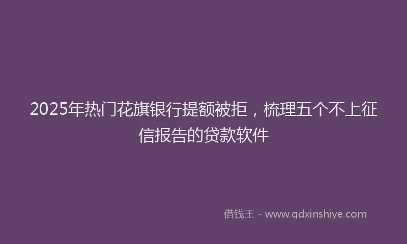 2025年热门花旗银行提额被拒，梳理五个不上征信报告的贷款软件