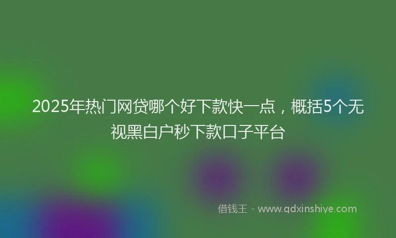 2025年热门网贷哪个好下款快一点，概括5个无视黑白户秒下款口子平台