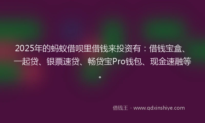 2025年的蚂蚁借呗里借钱来投资有：借钱宝盒、一起贷、银票速贷、畅贷宝Pro钱包、现金速融等。