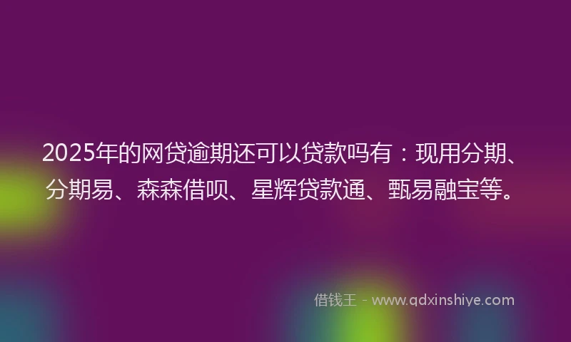 2025年的网贷逾期还可以贷款吗有：现用分期、分期易、森森借呗、星辉贷款通、甄易融宝等。