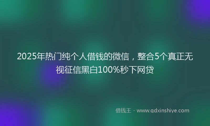 2025年热门纯个人借钱的微信，整合5个真正无视征信黑白100%秒下网贷