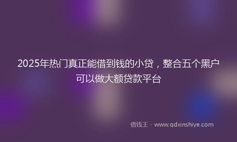 2025年热门真正能借到钱的小贷，整合五个黑户可以做大额贷款平台