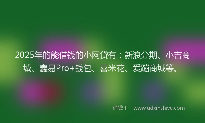 2025年的能借钱的小网贷有：新浪分期、小吉商城、鑫易Pro+钱包、喜米花、爱蹦商城等。