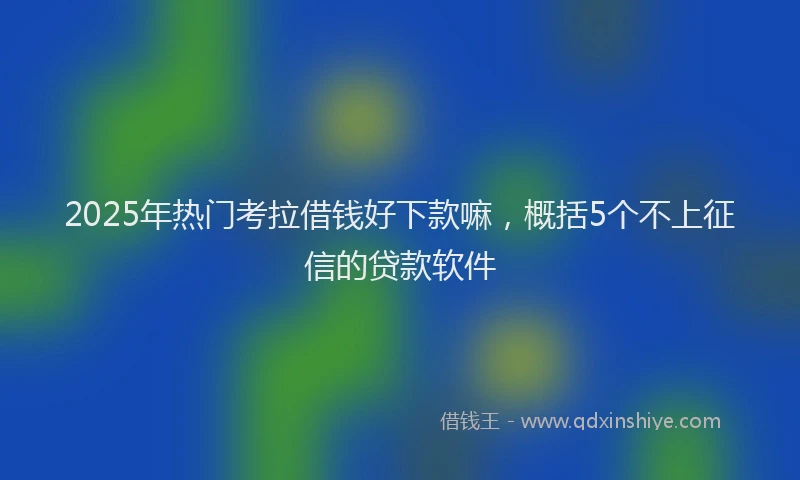 2025年热门考拉借钱好下款嘛，概括5个不上征信的贷款软件