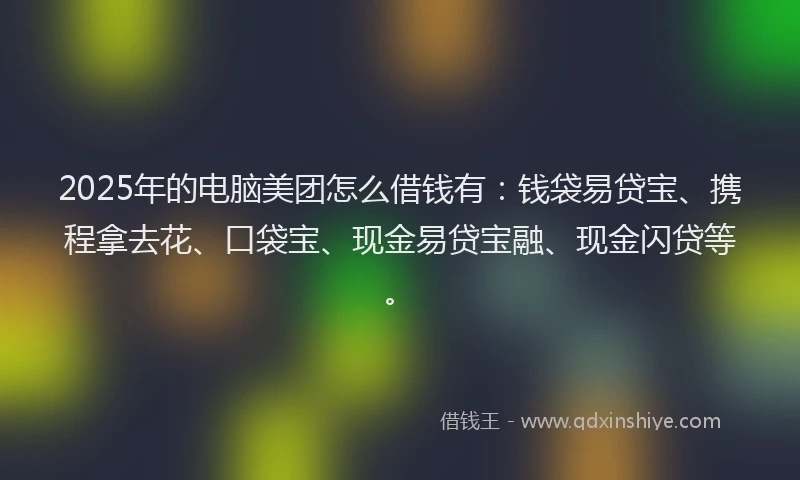 2025年的电脑美团怎么借钱有：钱袋易贷宝、携程拿去花、口袋宝、现金易贷宝融、现金闪贷等。