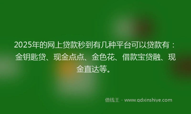 2025年的网上贷款秒到有几种平台可以贷款有：金钥匙贷、现金点点、金色花、借款宝贷融、现金直达等。