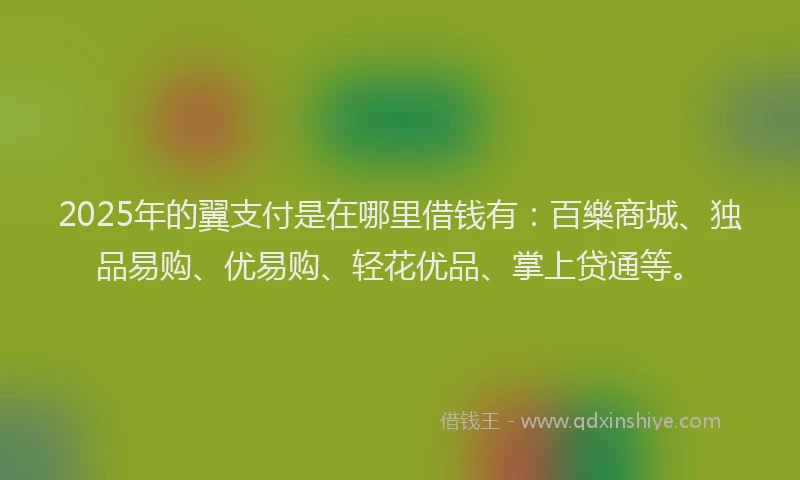 2025年的翼支付是在哪里借钱有：百樂商城、独品易购、优易购、轻花优品、掌上贷通等。
