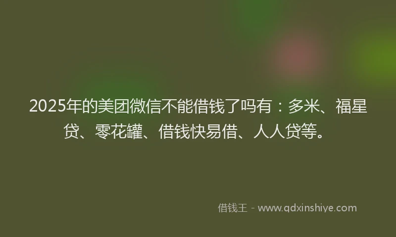 2025年的美团微信不能借钱了吗有：多米、福星贷、零花罐、借钱快易借、人人贷等。