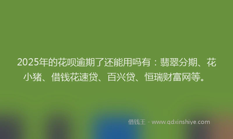 2025年的花呗逾期了还能用吗有：翡翠分期、花小猪、借钱花速贷、百兴贷、恒瑞财富网等。