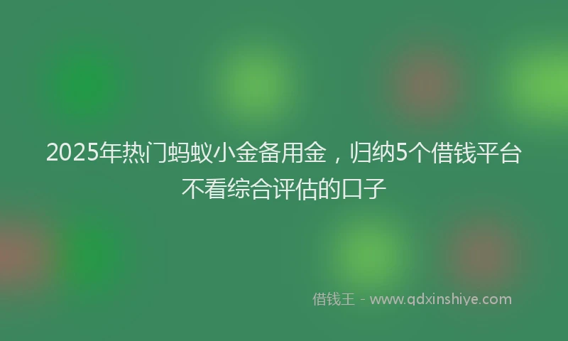 2025年热门蚂蚁小金备用金，归纳5个借钱平台不看综合评估的口子