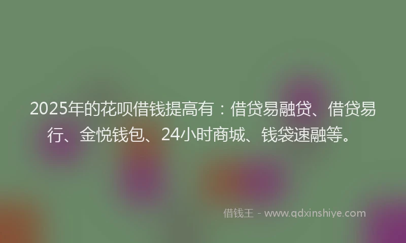 2025年的花呗借钱提高有：借贷易融贷、借贷易行、金悦钱包、24小时商城、钱袋速融等。