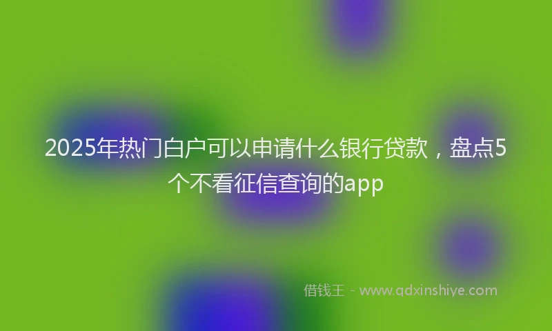 2025年热门白户可以申请什么银行贷款，盘点5个不看征信查询的app