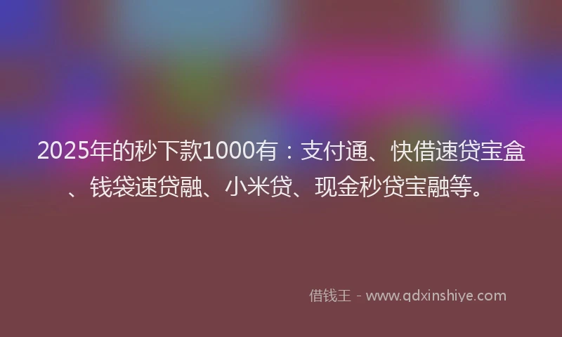 2025年的秒下款1000有：支付通、快借速贷宝盒、钱袋速贷融、小米贷、现金秒贷宝融等。