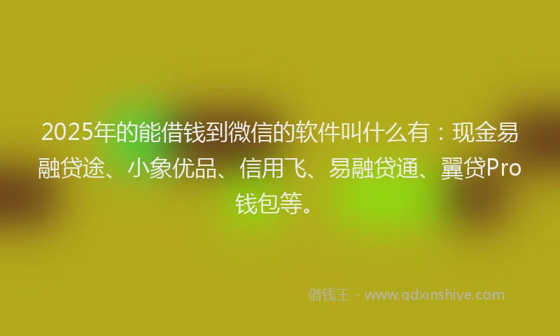 2025年的能借钱到微信的软件叫什么有：现金易融贷途、小象优品、信用飞、易融贷通、翼贷Pro钱包等。
