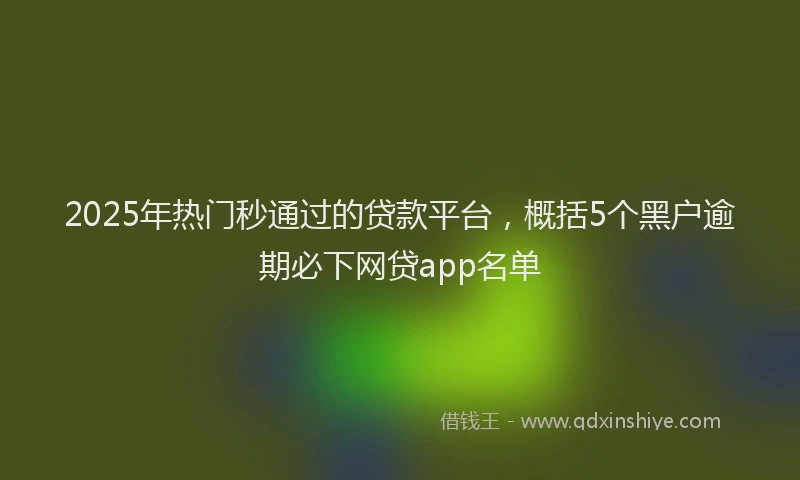 2025年热门秒通过的贷款平台，概括5个黑户逾期必下网贷app名单
