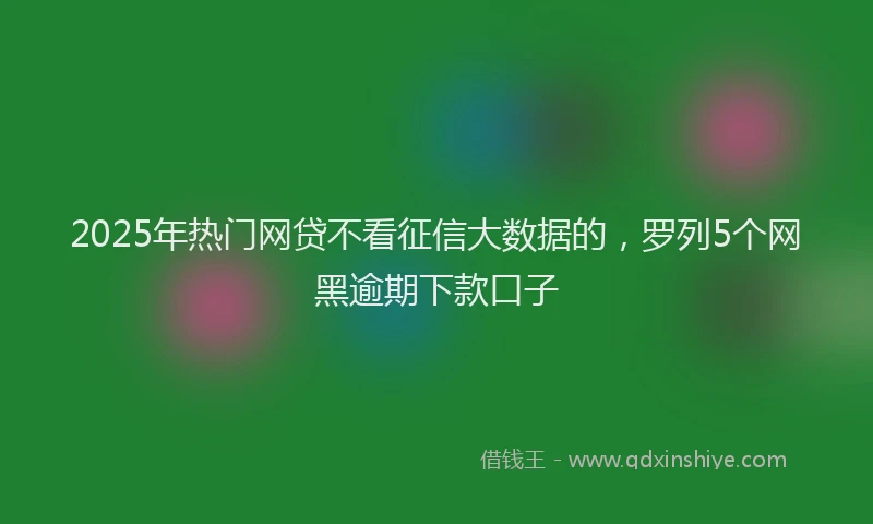 2025年热门网贷不看征信大数据的，罗列5个网黑逾期下款口子