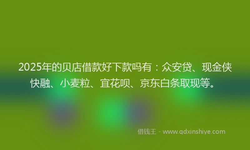 2025年的贝店借款好下款吗有：众安贷、现金侠快融、小麦粒、宜花呗、京东白条取现等。