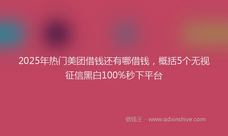 2025年热门美团借钱还有哪借钱，概括5个无视征信黑白100%秒下平台