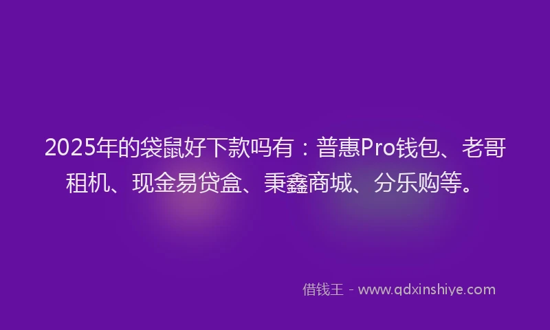 2025年的袋鼠好下款吗有：普惠Pro钱包、老哥租机、现金易贷盒、秉鑫商城、分乐购等。