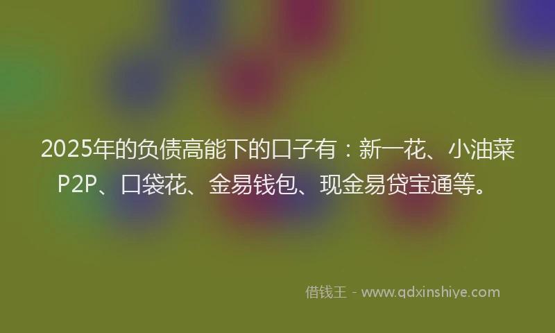 2025年的负债高能下的口子有：新一花、小油菜P2P、口袋花、金易钱包、现金易贷宝通等。