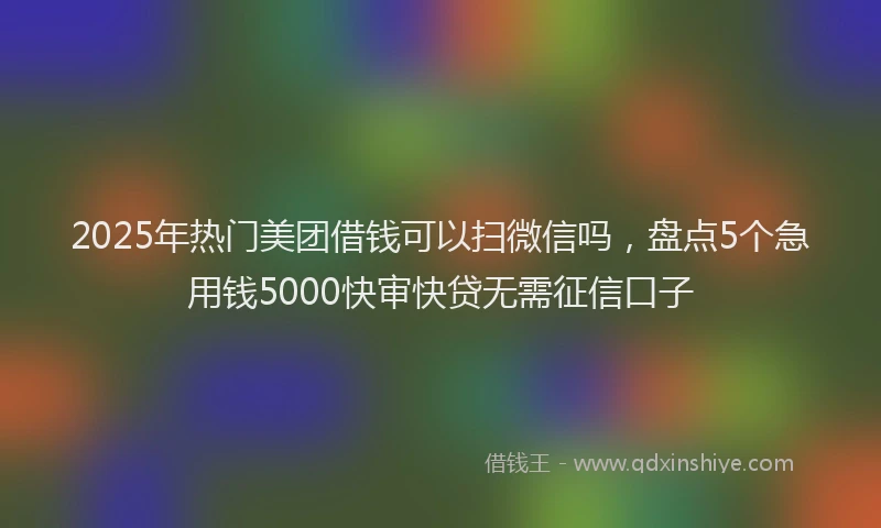 2025年热门美团借钱可以扫微信吗，盘点5个急用钱5000快审快贷无需征信口子