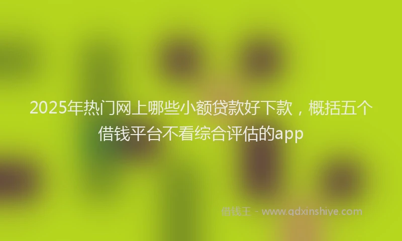 2025年热门网上哪些小额贷款好下款，概括五个借钱平台不看综合评估的app