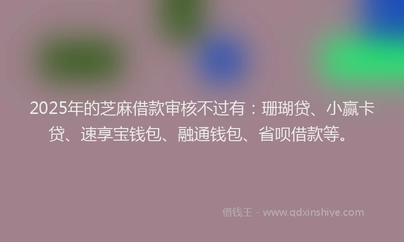 2025年的芝麻借款审核不过有：珊瑚贷、小赢卡贷、速享宝钱包、融通钱包、省呗借款等。