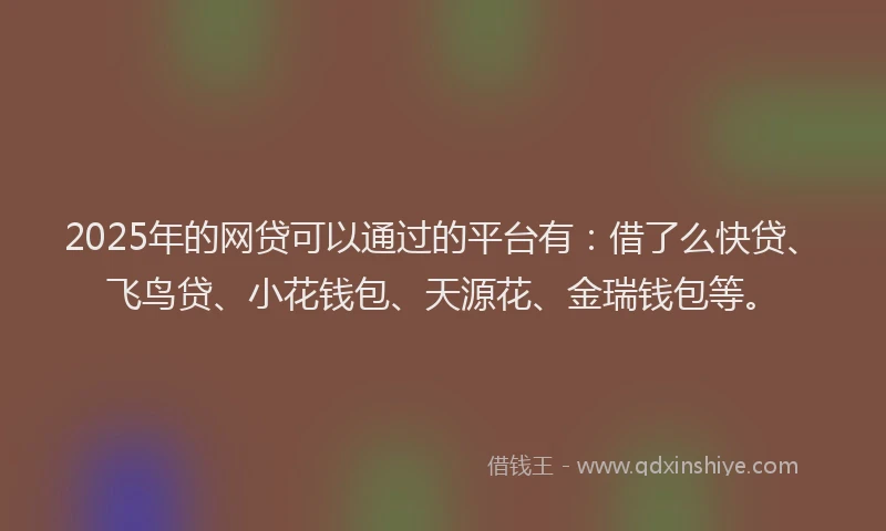 2025年的网贷可以通过的平台有：借了么快贷、飞鸟贷、小花钱包、天源花、金瑞钱包等。