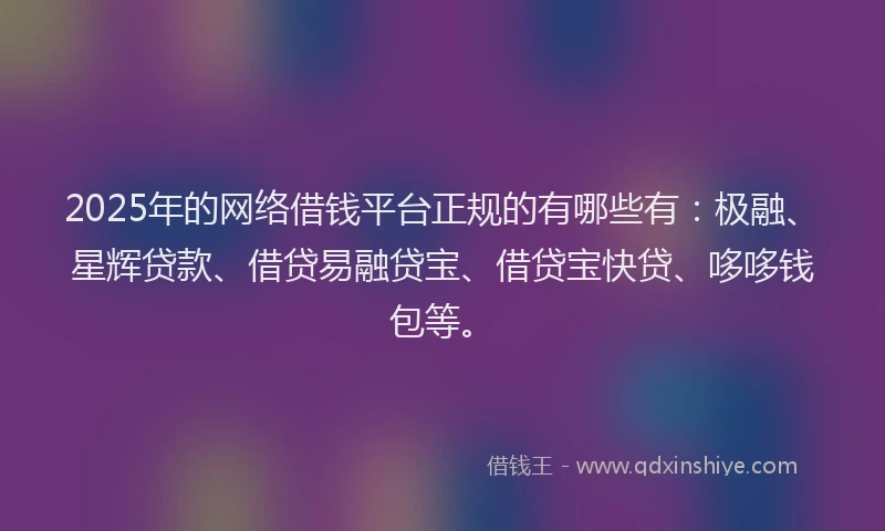 2025年的网络借钱平台正规的有哪些有：极融、星辉贷款、借贷易融贷宝、借贷宝快贷、哆哆钱包等。