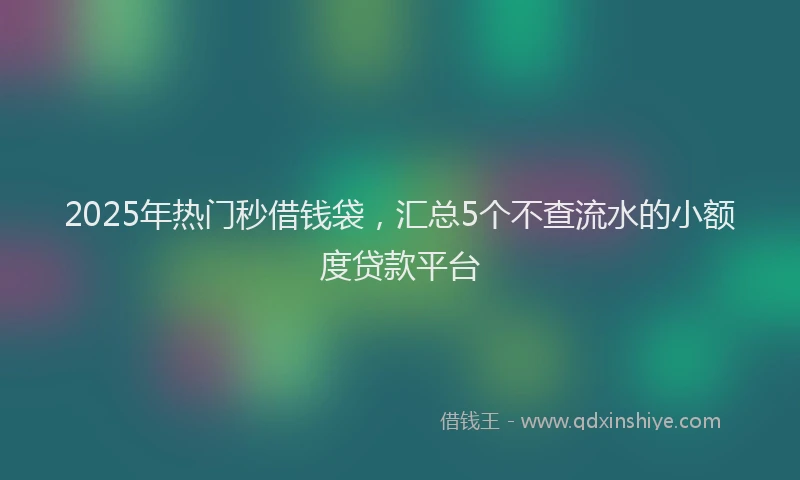 2025年热门秒借钱袋，汇总5个不查流水的小额度贷款平台
