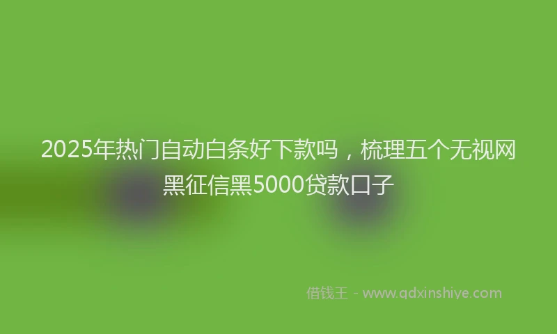 2025年热门自动白条好下款吗，梳理五个无视网黑征信黑5000贷款口子