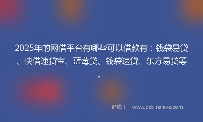 2025年的网借平台有哪些可以借款有：钱袋易贷、快借速贷宝、蓝莓贷、钱袋速贷、东方易贷等。