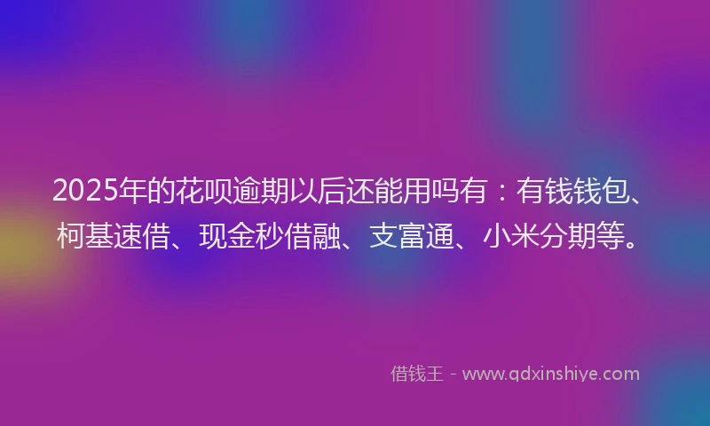 2025年的花呗逾期以后还能用吗有：有钱钱包、柯基速借、现金秒借融、支富通、小米分期等。